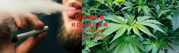 прущие крисы Алексин