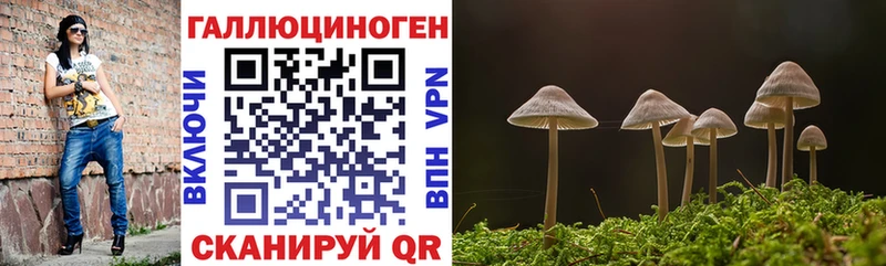 Псилоцибиновые грибы GOLDEN TEACHER  цена   OMG рабочий сайт  Хвалынск 